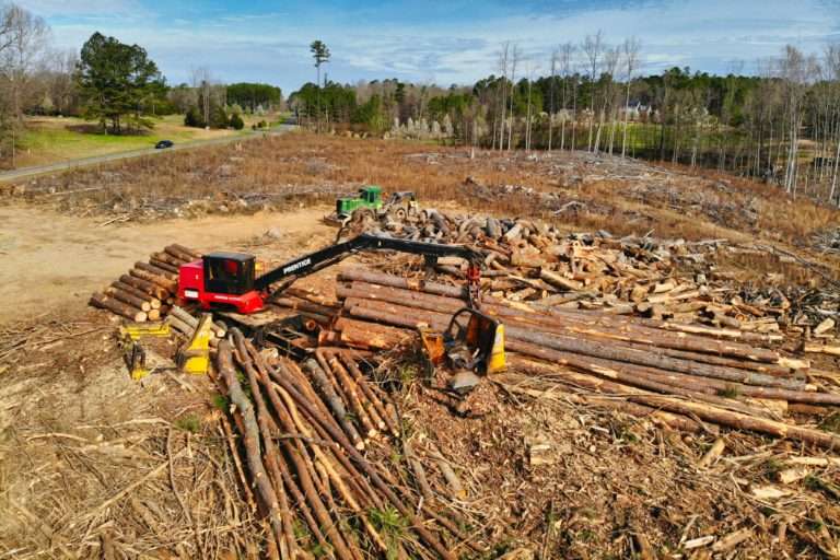 logging in Chatham County North Carolina